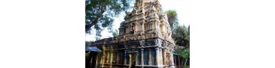 132. திருக்கருக்குடி